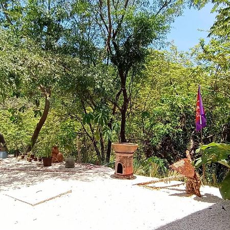 Laurel Jungle & Ocean Villa Playa Santa Teresa  Eksteriør billede