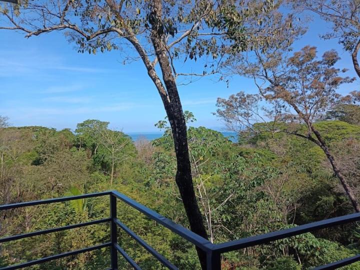 Laurel Jungle & Ocean Villa Playa Santa Teresa  Eksteriør billede