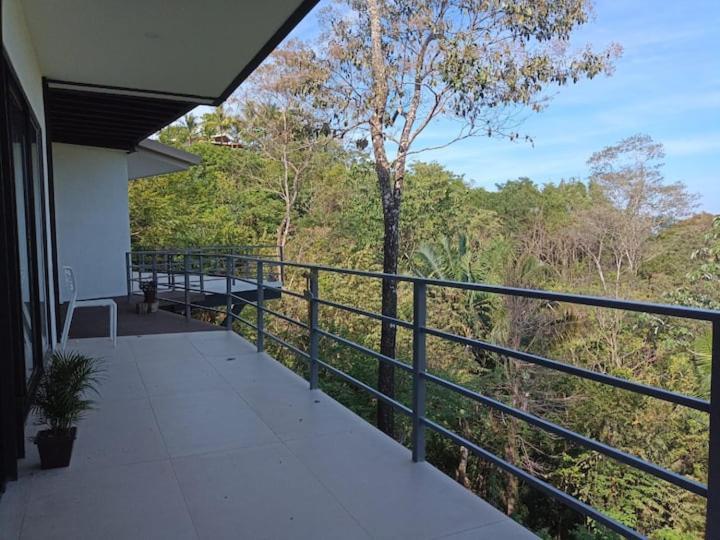 Laurel Jungle & Ocean Villa Playa Santa Teresa  Eksteriør billede