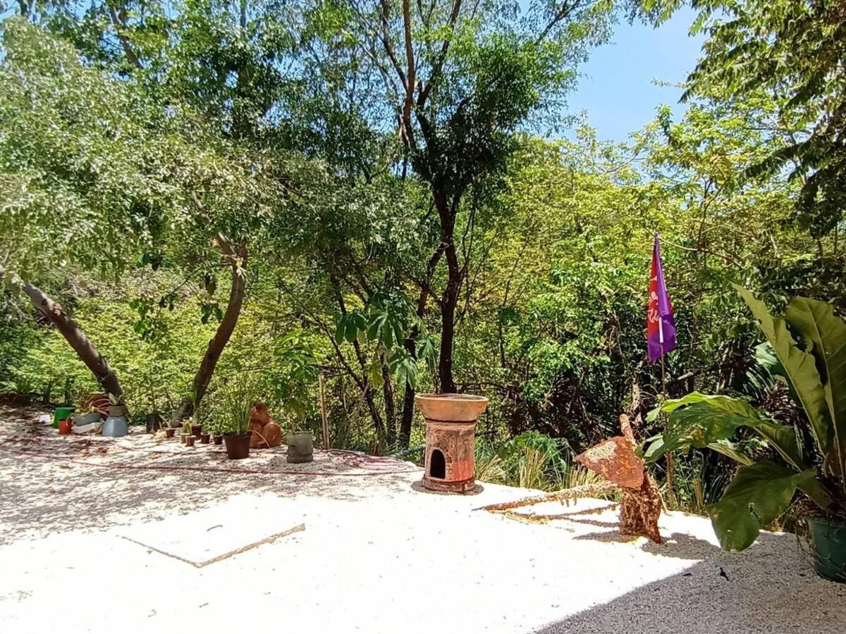Laurel Jungle & Ocean Villa Playa Santa Teresa  Eksteriør billede